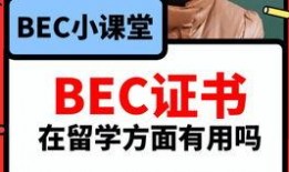 热门吃瓜爆料视频大全最新,揭秘娱乐圈幕后真相